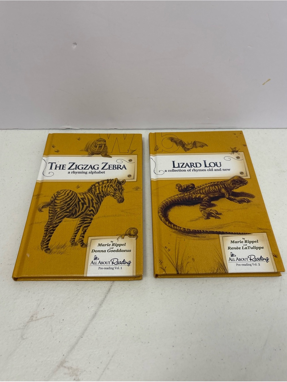 All About Reading Pre Reading Readers Volume 1 and 2 Lizard Lou ZigZag Zebra